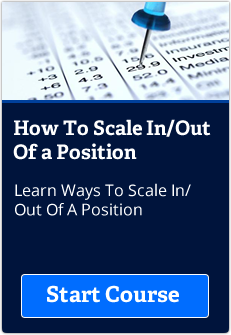 scale-in-out
